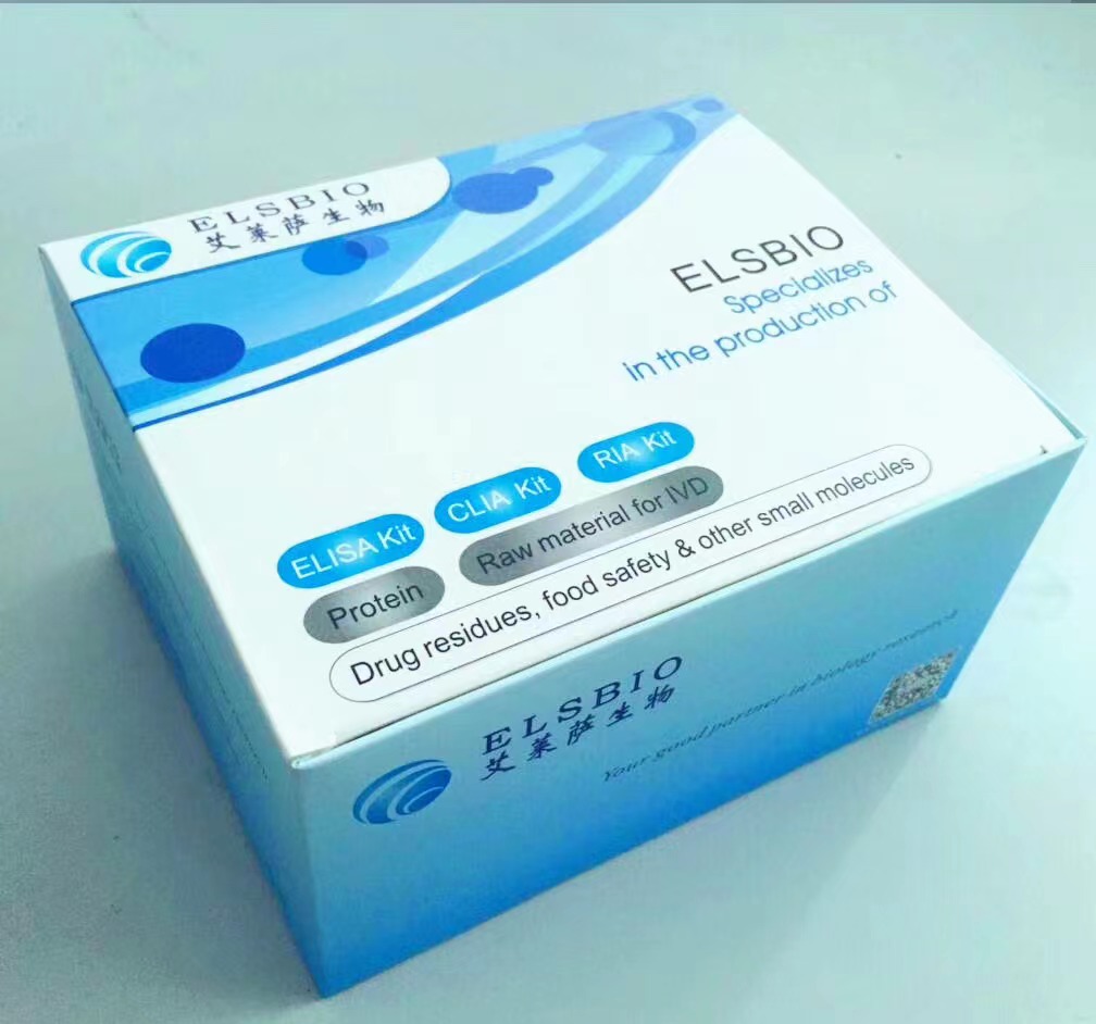 白介素2（IL-2）ELISA试剂盒